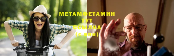 ГАЛЛЮЦИНОГЕННЫЕ ГРИБЫ Липки