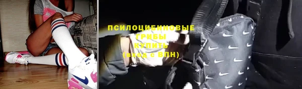 apvp Лиски