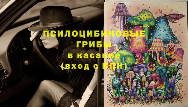 apvp Лиски
