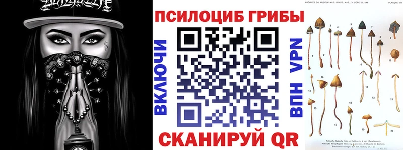 Псилоцибиновые грибы Psilocybine cubensis  наркошоп  Тайга 