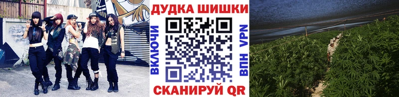 Марихуана планчик  блэк спрут как войти  Тайга 